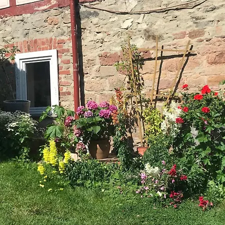 Apartamento Menz - Alte Mühle *