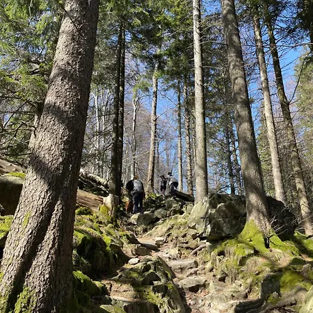 Menz - Alte Muehle - Mit Milseburgblick Und Gartenpool Daire