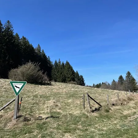 Menz - Alte Muehle - Mit Milseburgblick Und Gartenpool Daire Hofbieber