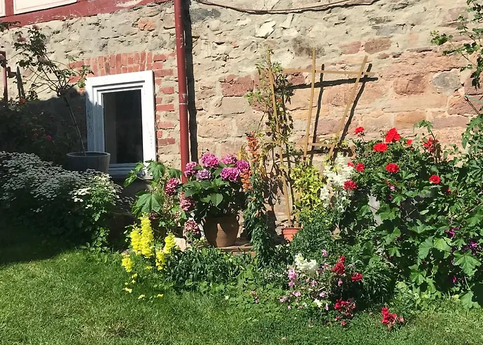 Apartamento Menz - Alte Mühle *